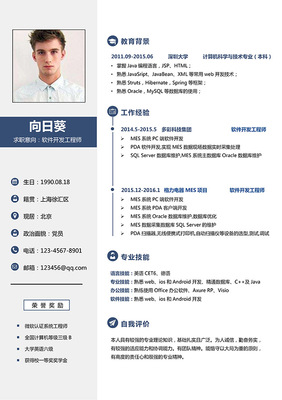 網絡工程專業軟件開發工程師簡歷模板
